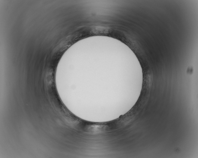 X0000110900323200907301612