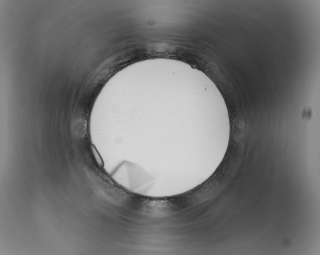 X0000110900324200907301612