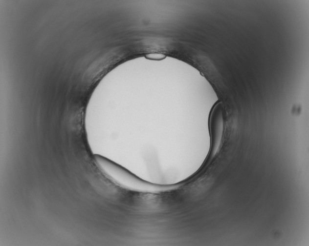 X0000110900325200907301612