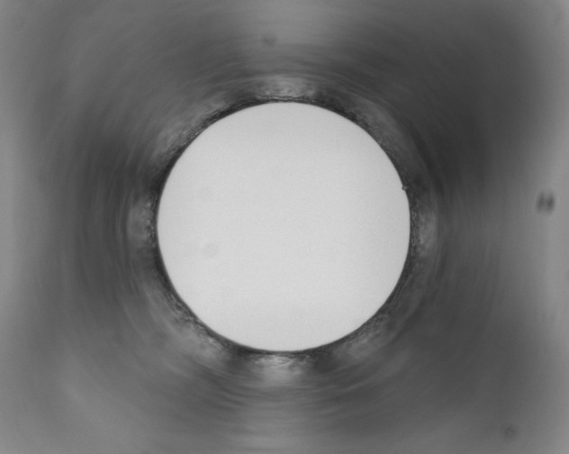 X0000110900326200907301612