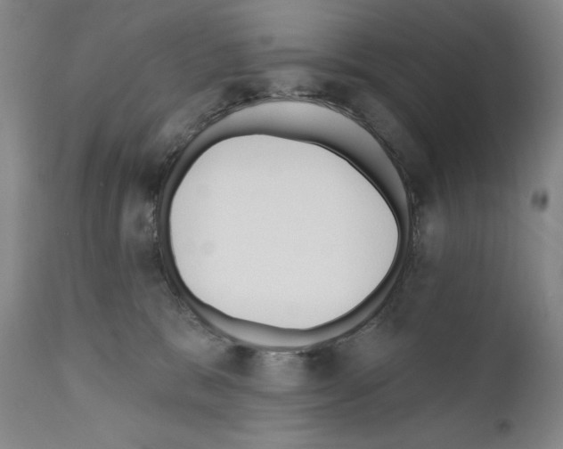 X0000110900327200907301612