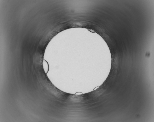 X0000110900331200907301612