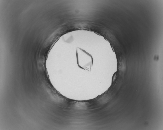 X0000110900332200907301612