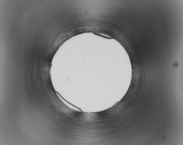 X0000110900333200907301612