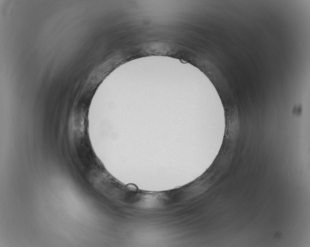 X0000110900334200907301612