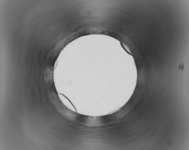 X0000110900335200907301612