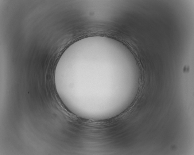 X0000110900336200907301612