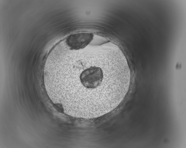 X0000110900337200907301611