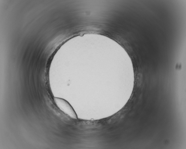 X0000110900338200907301611