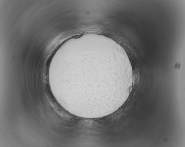 X0000110900339200907301611