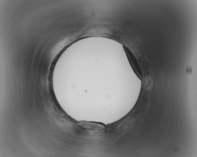 X0000110900340200907301611