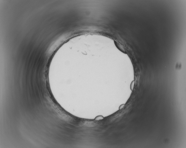 X0000110900341200907301611