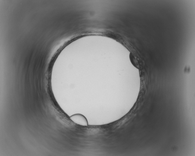 X0000110900342200907301611