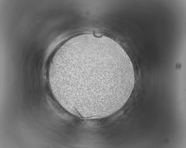 X0000110900343200907301611