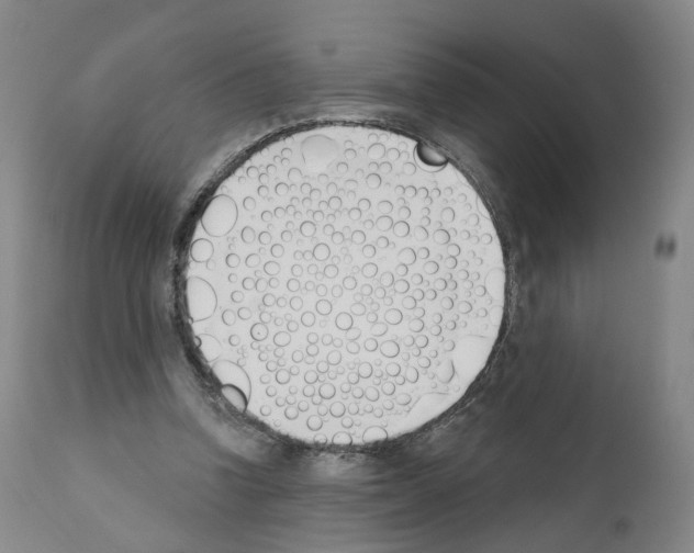 X0000110900346200907301611