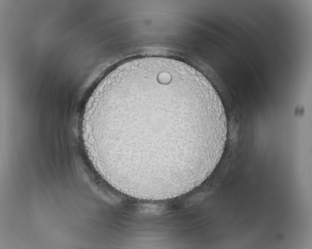 X0000110900347200907301611