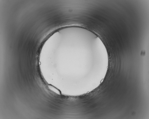 X0000110900350200907301611