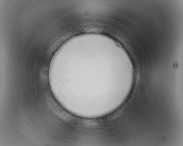 X0000110900353200907301611