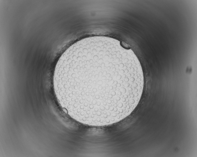 X0000110900354200907301611