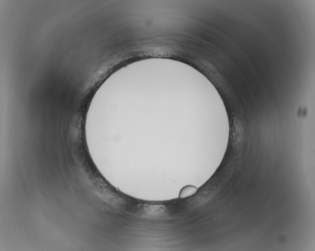 X0000110900355200907301611