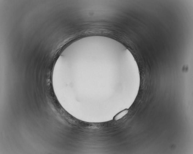 X0000110900356200907301612