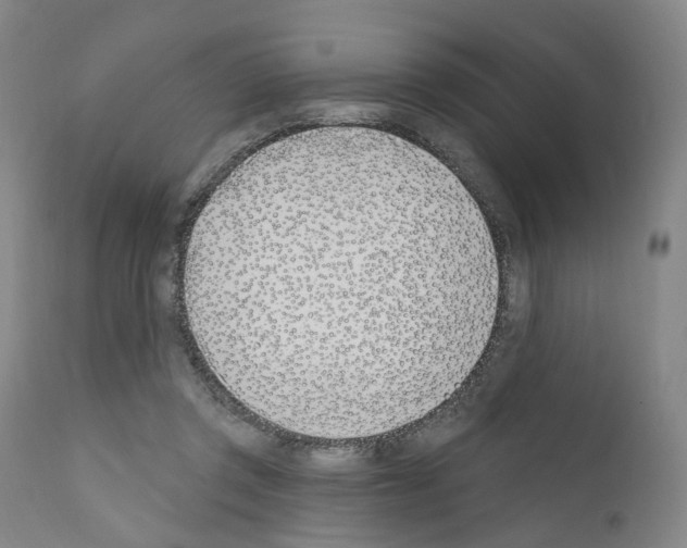 X0000110900357200907301612