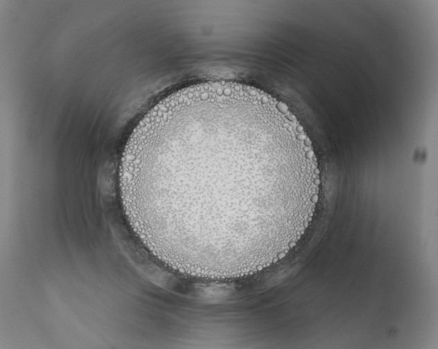 X0000110900359200907301612