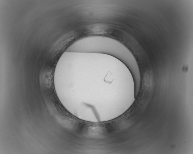 X0000110900360200907301612