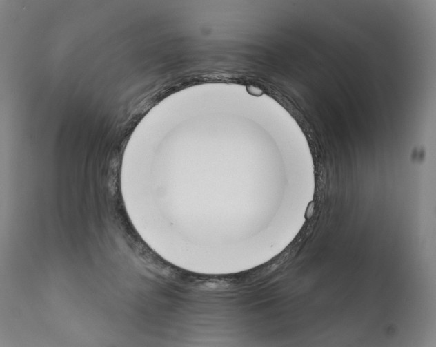 X0000110900364200907301612