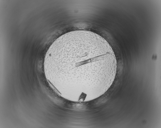 X0000110900365200907301612