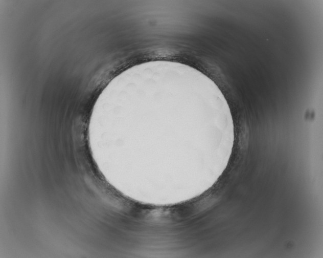 X0000110900366200907301612