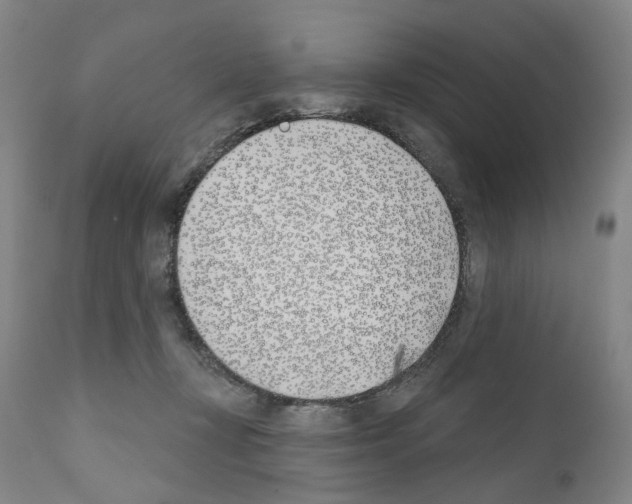 X0000110900367200907301612