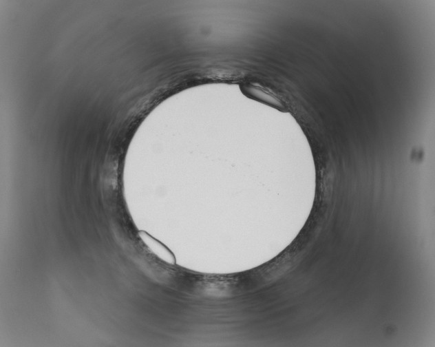 X0000110900368200907301612