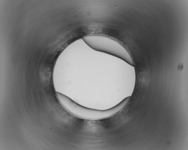 X0000110900372200907301612