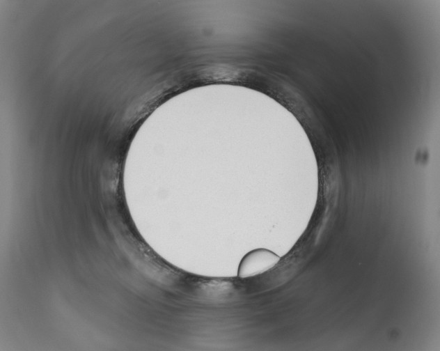 X0000110900374200907301612