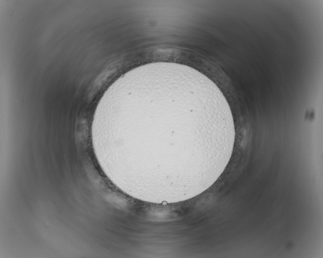 X0000110900375200907301612