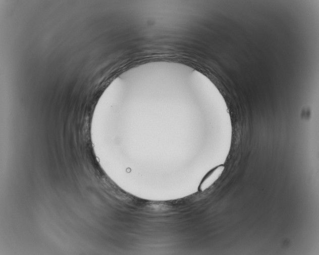 X0000110900376200907301612