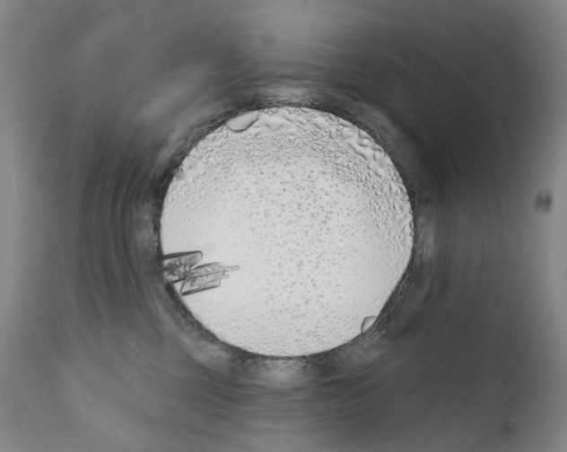 X0000110900377200907301612