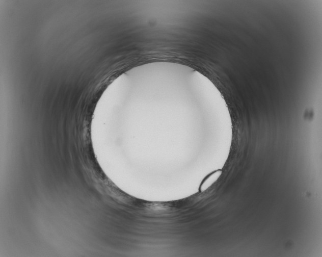 X0000110900380200907301612