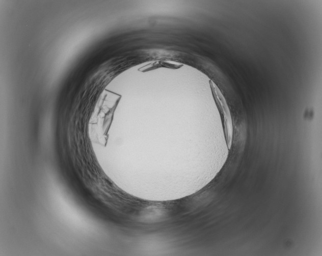 X0000110900381200907301612