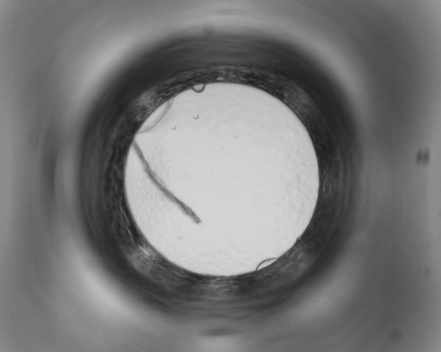 X0000110900383200907301612