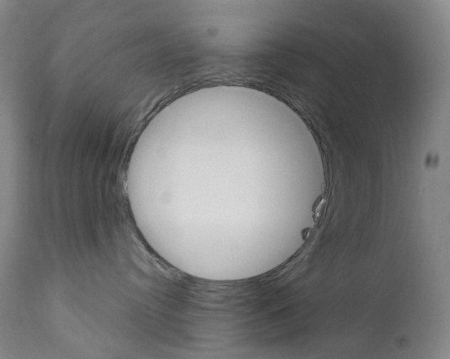 X0000110900384200907301612