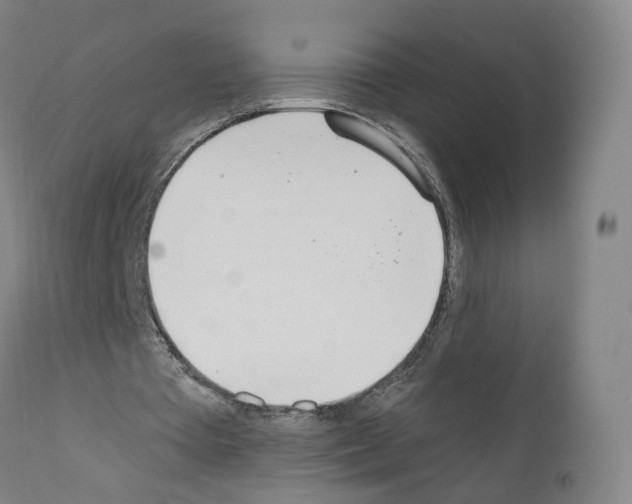 X0000110900385200907301611