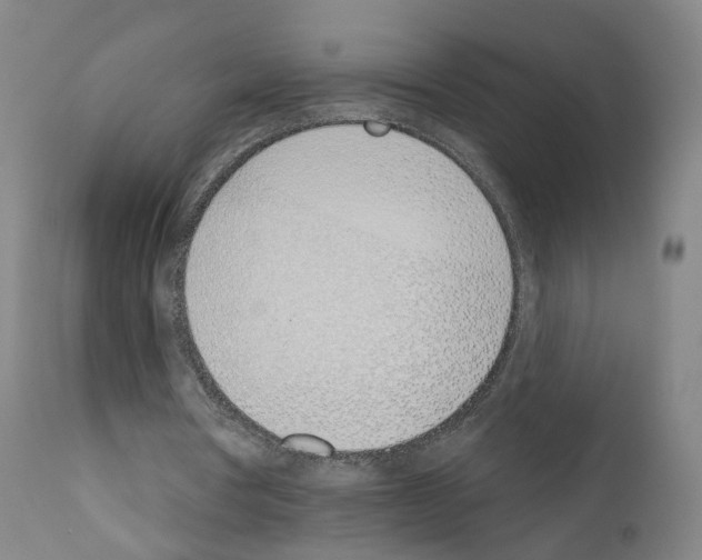 X0000110900386200907301611