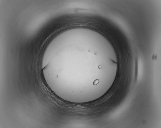 X0000110900387200907301611