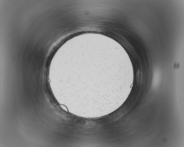 X0000110900388200907301611