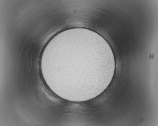 X0000110900390200907301611