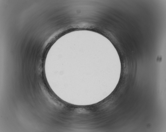 X0000110900392200907301611