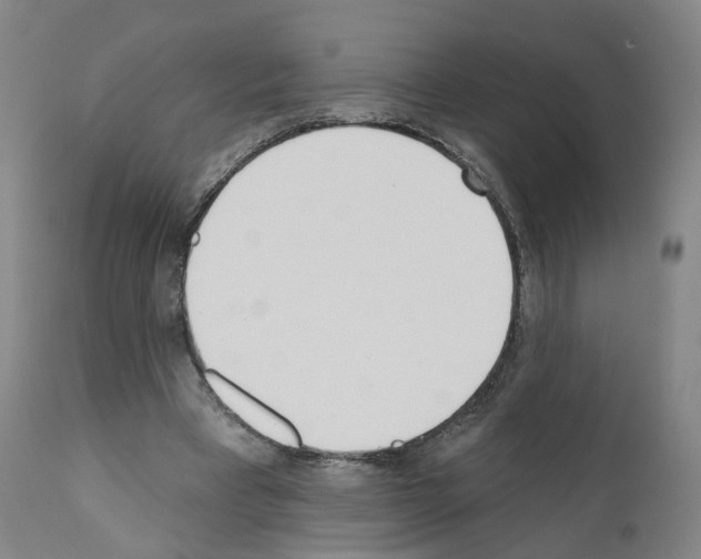 X0000110900393200907301611