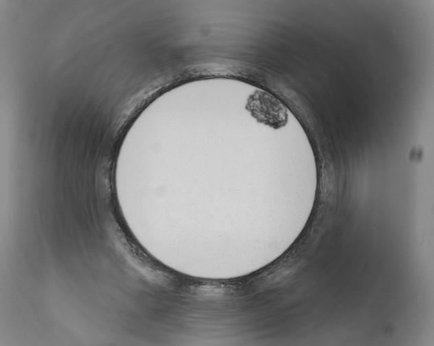 X0000110900394200907301611